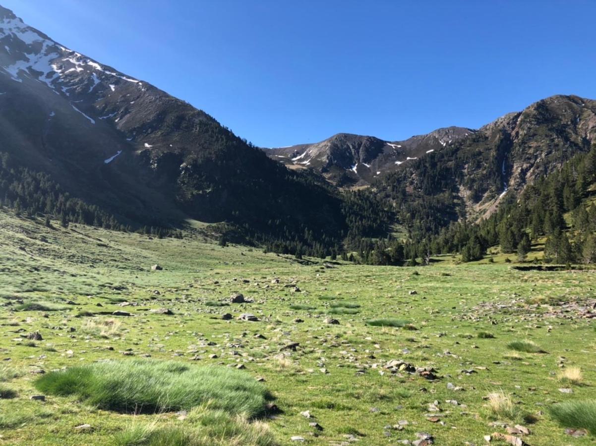 Hostal Pirineos Meliz Bielsa Εξωτερικό φωτογραφία